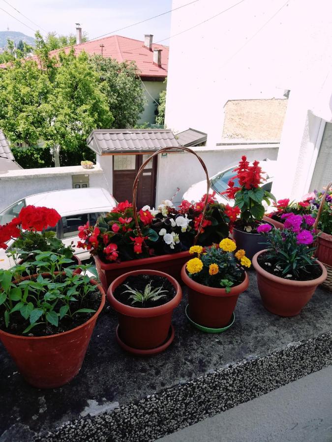 Apartman Ohren Sarajevo Exterior photo